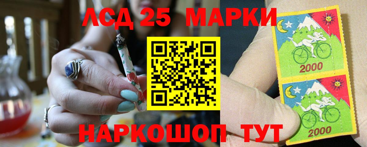 Бийск  Лсд 25 экстази кислота  Лсд 25 экстази кислота  hydra ТОР  Вход с VPN  LSD-25 экстази 