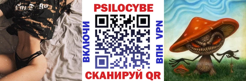 Галлюциногенные грибы Cubensis наркошоп Бийск
