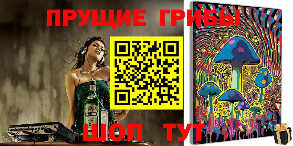 закладка  Галлюциногенные грибы Magic Shrooms  Вход с VPN  Бийск 