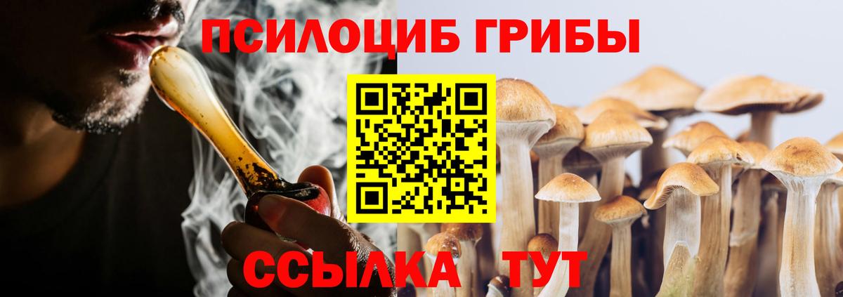 Псилоцибиновые грибы мицелий Бийск